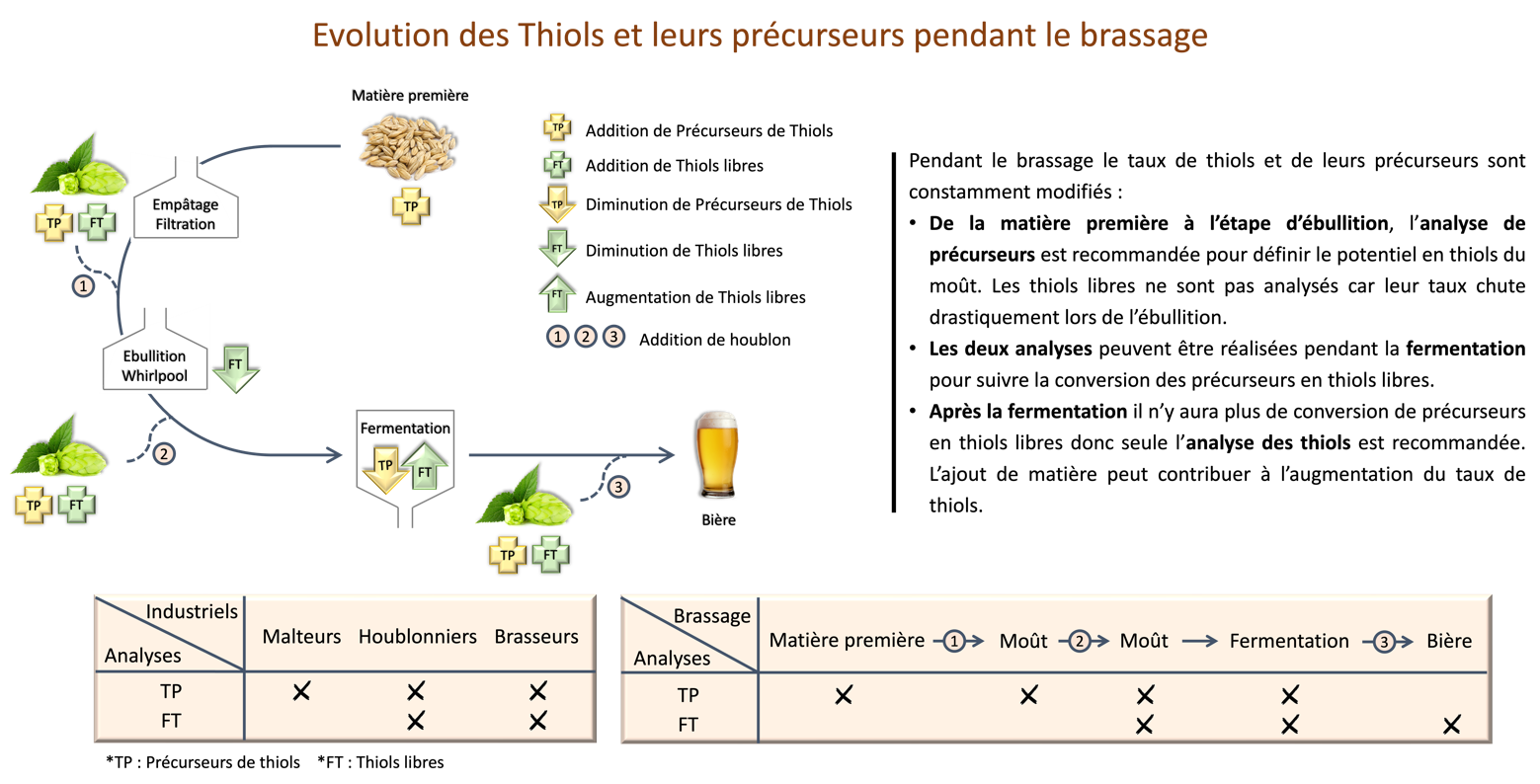 thiolsbiere